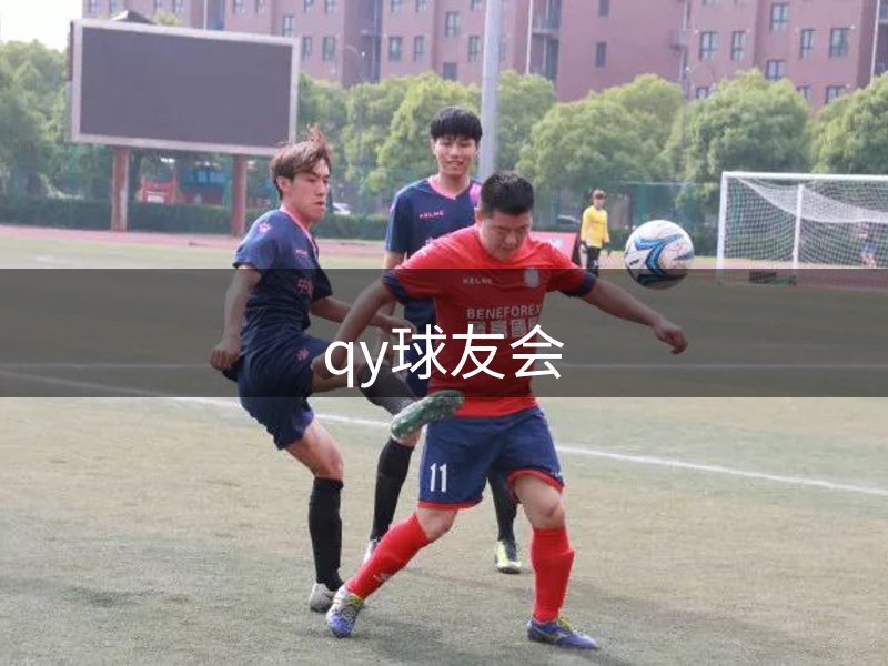 品牌历程